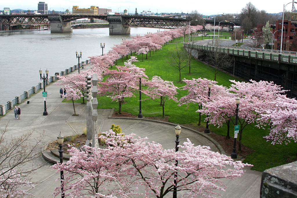 10 Best Places to Visit in Portland