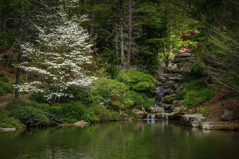 10 Best Places to Visit in Arkansas