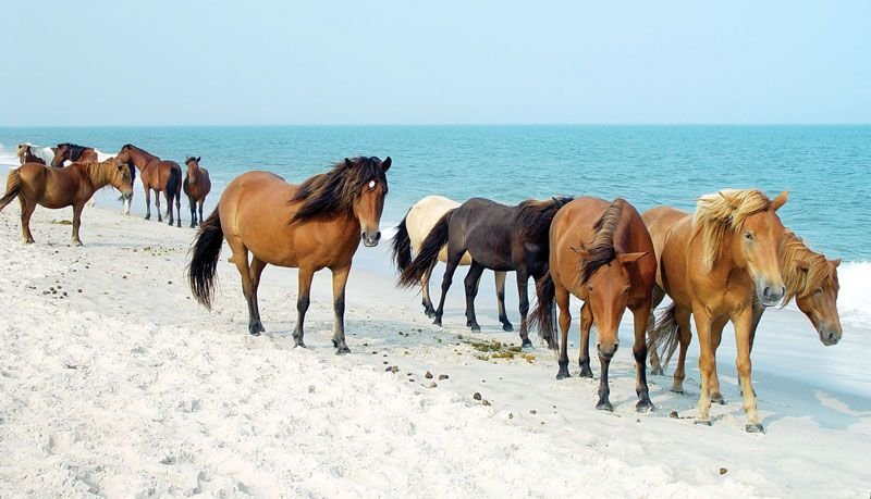 10 Best Places to Visit in Maryland