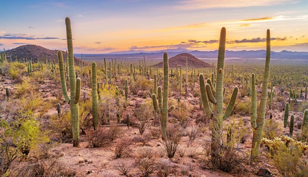 10 Best Places to Visit in Arizona